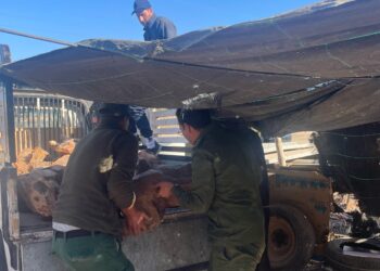 مديرية المياه والغابات تشن حملة ضد الاستغلال العشوائي للغابات بأكادير