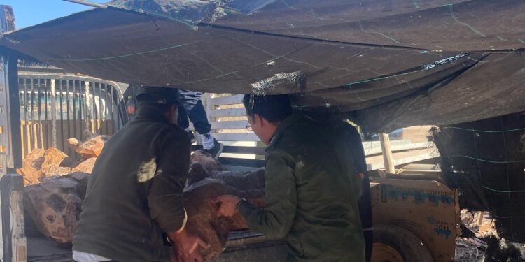 مديرية المياه والغابات تشن حملة ضد الاستغلال العشوائي للغابات بأكادير