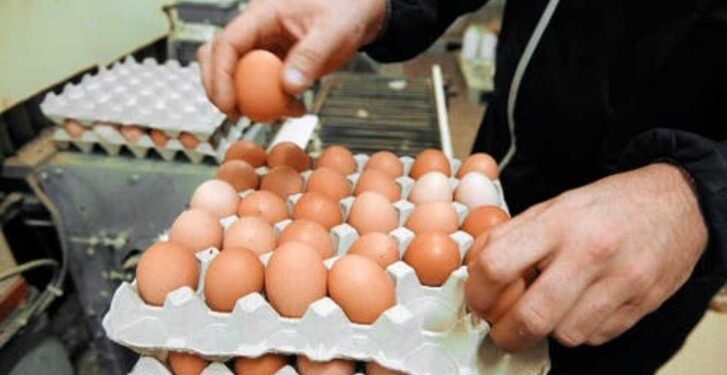 ارتفاع أسعار البيض قبيل رمضان يثير قلق المستهلكين