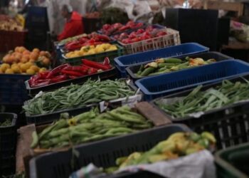 عمليات تفتيش مفاجئة لكشف تخزين غير قانوني للمواد الغذائية