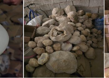 الدرك الملكي بالدراركة يضبط مستودعًا غير مرخص لبيع الأحجار الكريمة والمستحثات النادرة