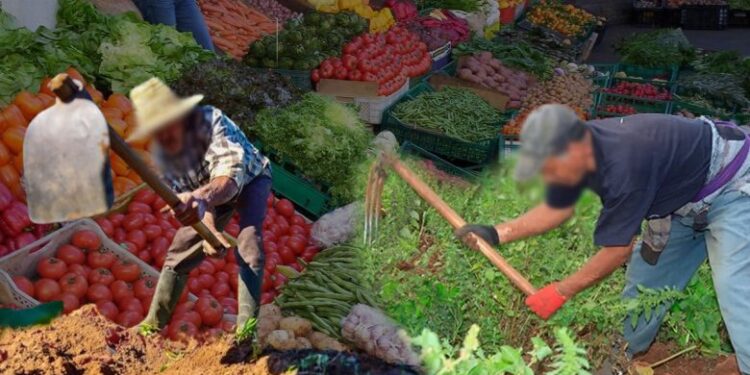 فريق الأصالة والمعاصرة النيابي يطالب بإعفاء الفلاحين من الديون المتراكمة