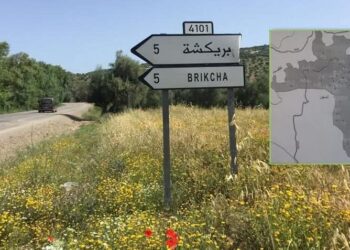 زلزال بريكشة.. السلطات تؤكد عدم تسجيل خسائر بشرية أو مادية