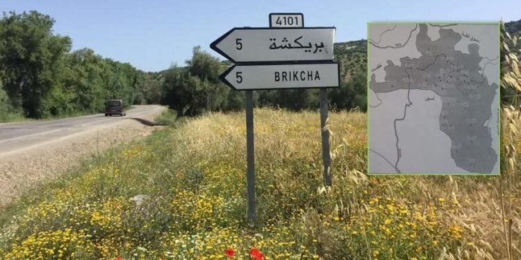 زلزال بريكشة.. السلطات تؤكد عدم تسجيل خسائر بشرية أو مادية