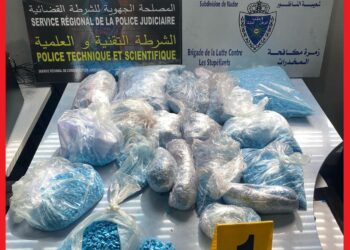 إحباط تهريب ضخم للمخدرات في ميناء بني أنصار: توقيف شخصين وحجز 53 ألف قرص مهلوس