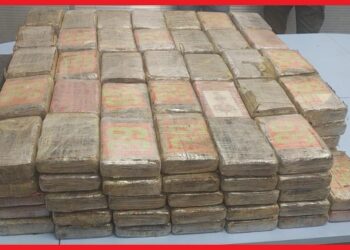 عملية نوعية للجمارك والأمن الوطني تحبط تهريب كمية كبيرة من الكوكايين