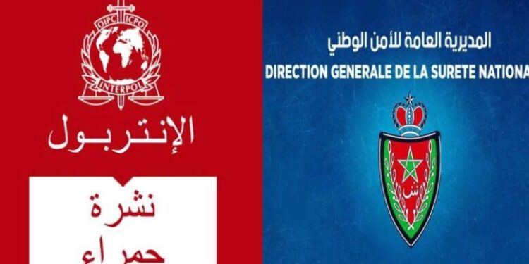 بالتنسيق مع “الإنتربول”.. الأمن المغربي يوقف فرنسيًا متورطًا في جرائم خطيرة