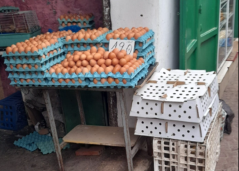 أزمة أسعار البيض في رمضان: تبادل الاتهامات بين المنتجين والموزعين