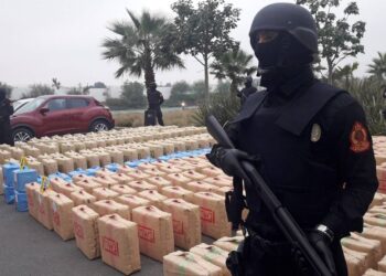 سوس: بوابة تهريب المخدرات عبر الشركات الفلاحية والصيد البحري