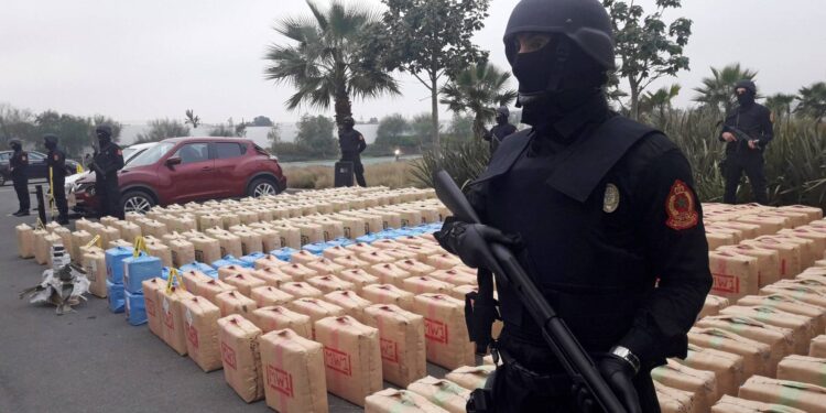 سوس: بوابة تهريب المخدرات عبر الشركات الفلاحية والصيد البحري