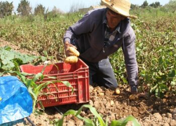 المياه والفلاحة بالمغرب.. كيف غيرت أمطار مارس 2025 المشهد؟