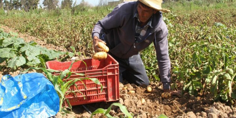 المياه والفلاحة بالمغرب.. كيف غيرت أمطار مارس 2025 المشهد؟