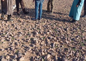 تدخلات ميدانية للسلطات المحلية بإقليم اشتوكة آيت باها لتدبير ملف الرعاة الرحل بالمنطقة الجبلية