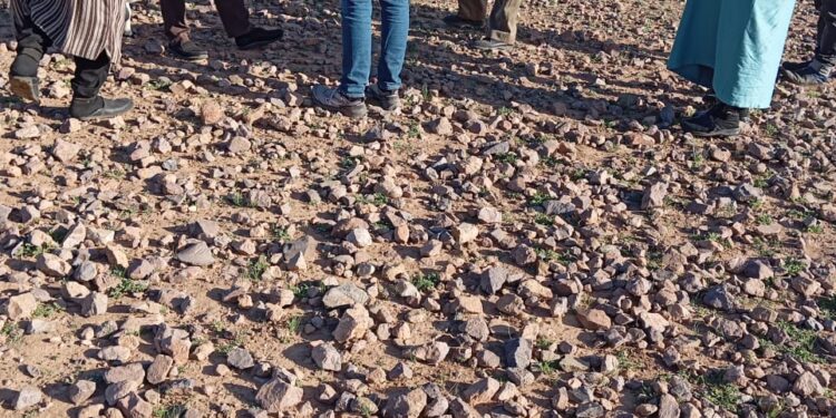 تدخلات ميدانية للسلطات المحلية بإقليم اشتوكة آيت باها لتدبير ملف الرعاة الرحل بالمنطقة الجبلية