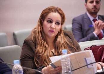 نائبة برلمانية تستفسر وزيرة الانتقال الطاقي حول قطع الكهرباء عن دواوير بتيزنيت