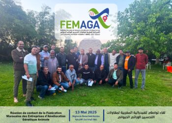 استراتيجية عملية في مشروع الفيدرالية المغربية لمقاولات التحسين الوراثي والحيواني