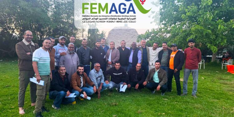 استراتيجية عملية في مشروع الفيدرالية المغربية لمقاولات التحسين الوراثي والحيواني
