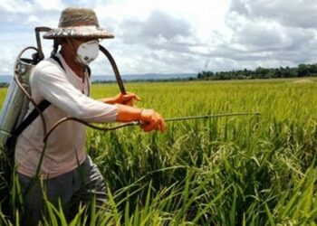 اشتوكة ايت باها: روائح مبيدات فلاحية تنذر بكارثة صحية وبيئية بايت عميرة