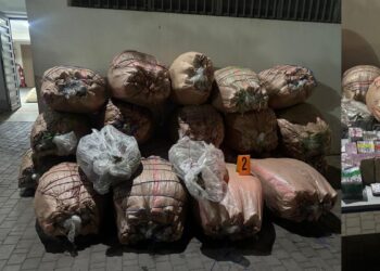 بالتنسيق مع “الديستي” والدرك.. الأمن يضبط أزيد من 1.4 طن من الكيف ويوقف 3 مبحوث عنهم