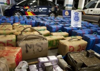 DGST تواصل دعم الجهود الدولية ضد المخدرات.. إسبانيا تحبط مخطط شبكة إجرامية لتهريب القنب الهندي