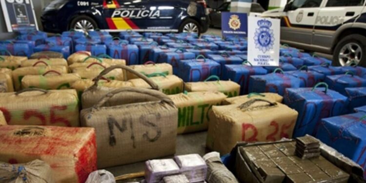 DGST تواصل دعم الجهود الدولية ضد المخدرات.. إسبانيا تحبط مخطط شبكة إجرامية لتهريب القنب الهندي