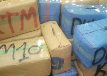 بتنسيق مع DST.. توقيف 8 أشخاص بتهمة تهريب المخدرات بالعرائش