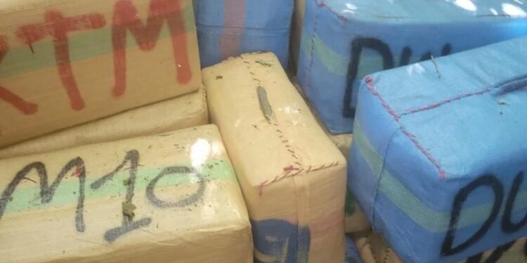 بتنسيق مع DST.. توقيف 8 أشخاص بتهمة تهريب المخدرات بالعرائش