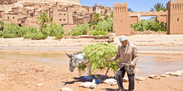 تنظيم لا تضييق: نداء عاجل من العالم القروي لتيسير مساطر البناء