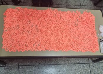 بتنسيق مع “الديستي”: توقيف مروج مخدرات بحوزته 4400 قرص مهلوس و77 غراماً من الكوكايين