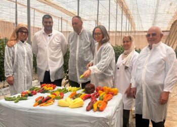 رئيس غرفة التجارة والصناعة والخدمات لسوس ماسة سعيد ضور يستقبل وفدًا دنماركيًا بوحدة صناعية نموذجية باشتوكة ايت باها