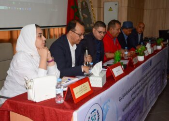 جماعة أيت ملول تواكب النقاش العلمي حول القوانين التنظيمية والديمقراطية المحلية.