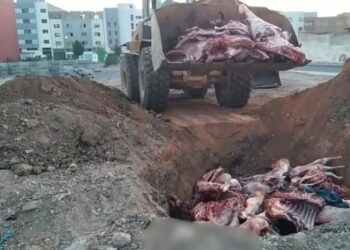 مديونة: ضبط شاحنة محمّلة بلحوم فاسدة قادمة من برشيد