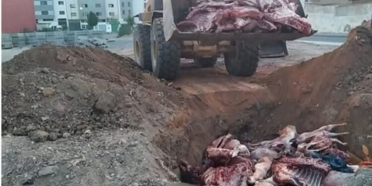 مديونة: ضبط شاحنة محمّلة بلحوم فاسدة قادمة من برشيد