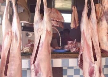 أسعار اللحوم الحمراء تتراجع بعد العيد.. لكن شكاوى المستهلكين مستمرة