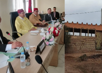 المجزرة الجماعية بوادي الصفاء: قصة نجاح تترجم سرعة استجابة عامل اشتوكة أيت باها