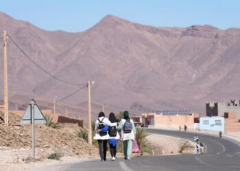 قطاع التربية الوطنية..الوزارة تدعو إلى التعميم الفوري لخلايا اليقظة