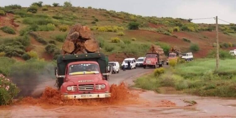 نشرة إنذارية..طقس حار وزخات رعدية مصحوبة بالبرد بعدد من مناطق المملكة
