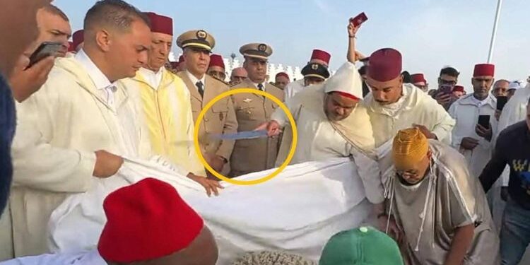 الغرور أم الجهل بالبروتوكول؟ العيد يكشف حدود المسؤولية