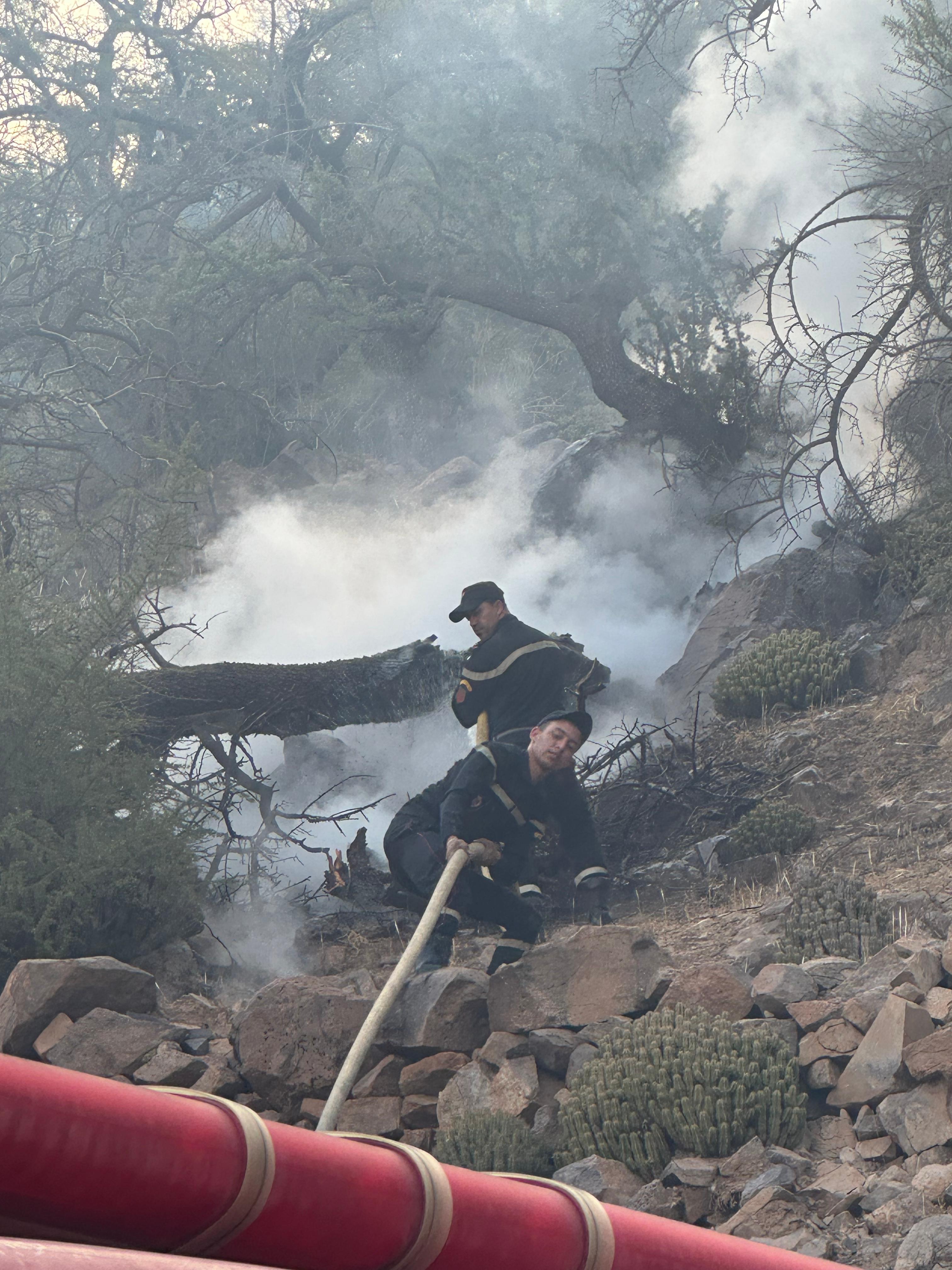 اشتوكة ايت باها:واحة تاركانتوشكا تتنفس الصعداء بعد السيطرة على الحريق.. وتواصل الجهود لمعالجة الأضرار