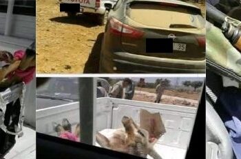 الحلقة الرابعة من فضائح رئيس جماعة باشتوكة آيت باها: التعاونيات الوهمية… والشعير المدعّم في المزاد!