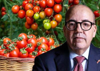 منتجات مغربية تحت المجهر الأوروبي: اختبار صعب لصورة “المغرب الفلاحي”