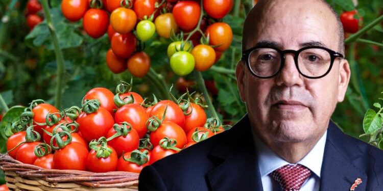 منتجات مغربية تحت المجهر الأوروبي: اختبار صعب لصورة “المغرب الفلاحي”