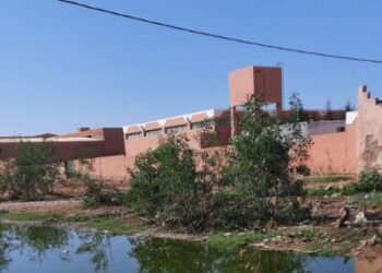 مجزرة سيدي بيبي: كارثة صحية وبيئية تتحدى “حكامة القرب” وتنتظر تدخل العامل الجديد”فيديو”