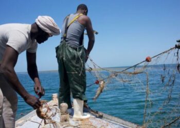 الصيد البحري بين المغرب وموريتانيا: شراكة استراتيجية لمواجهة التحديات وتحقيق التنمية