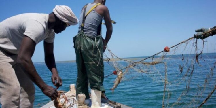 الصيد البحري بين المغرب وموريتانيا: شراكة استراتيجية لمواجهة التحديات وتحقيق التنمية