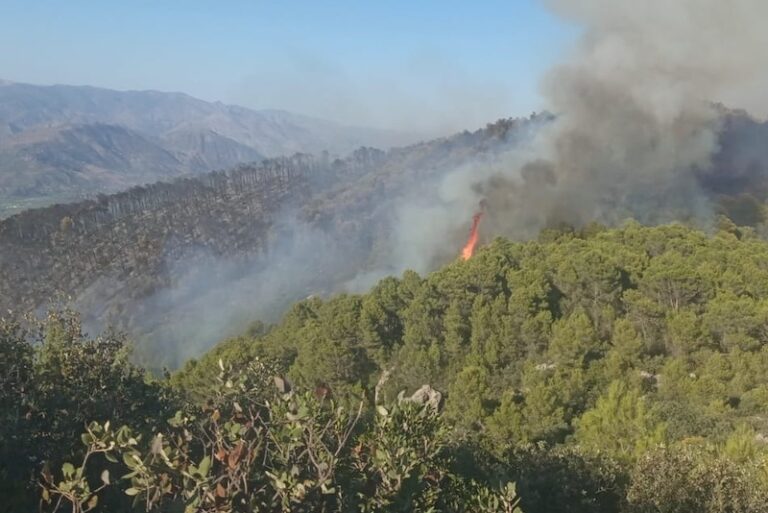 بين الخطر المرتفع والمتوسط: أكادير وتارودانت في عين عاصفة حرائق الغابات