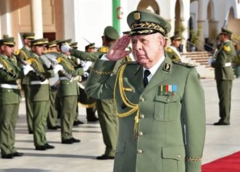 مقتل ضباط جزائريين في طهران يكشف أبعاد التعاون العسكري الخفي وانغماس الجزائر في النزاعات الإقليمية