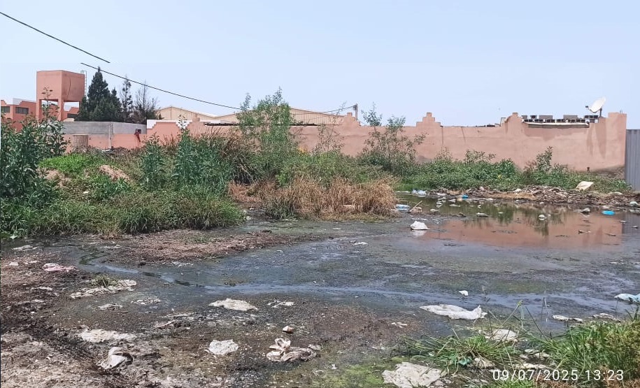 بيئة سيدي بيبي تستغيث مجدداً: أين الخلل؟ وأين المراقبة؟