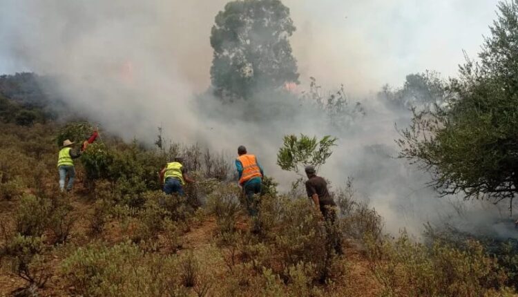 خرائط الخطر تنذر بحرائق غابوية محتملة في العديد من المناطق من بينها اكادير اداوتنان