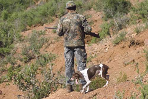 اشتوكة آيت باها: معطيات مثيرة حول صيد غير قانوني للغزلان تستدعي التحقيق
